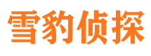 华容市私家侦探